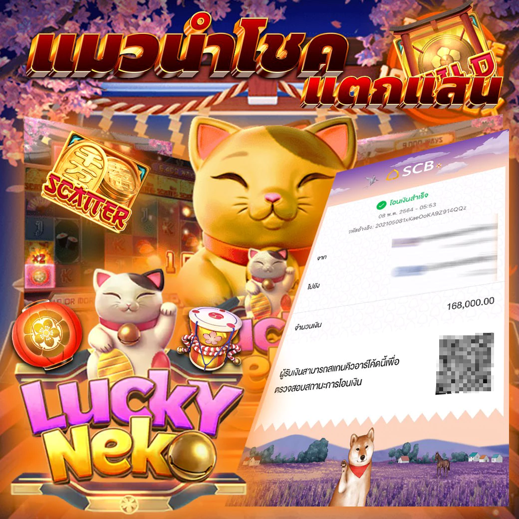 Men's Competition Barbell Set